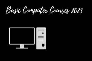 Basic computer courses for 2023