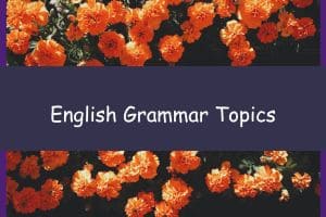English Grammar Topics