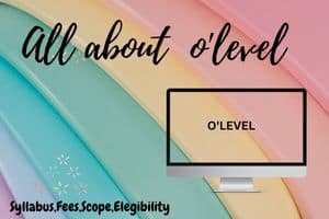 what is o'level and its scope 2023