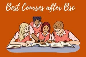 Best courses after bsc