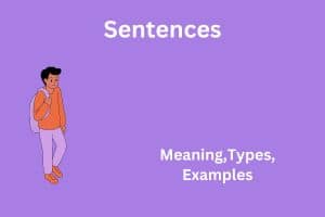 Sentences
