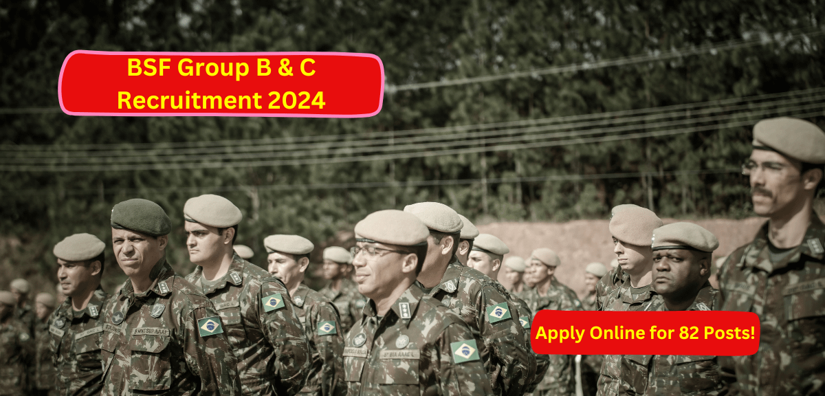 BSF Group B & C Recruitment 2024